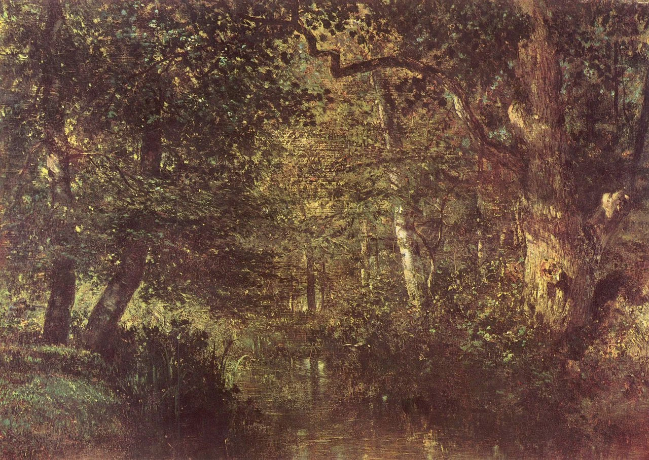 Corso d'acqua nella foresta